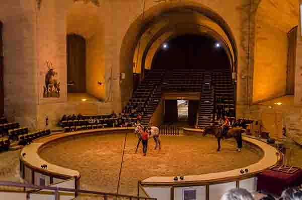 Francia - Chantilly 31 - Grandes Caballerizas y museo del Caballo - adiestramiento.jpg